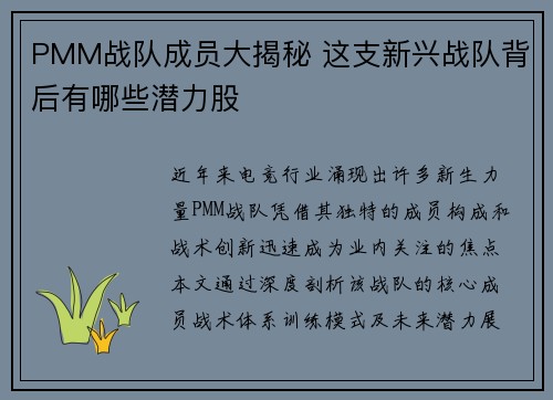 PMM战队成员大揭秘 这支新兴战队背后有哪些潜力股