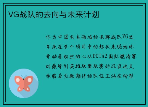 VG战队的去向与未来计划