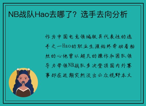 NB战队Hao去哪了？选手去向分析